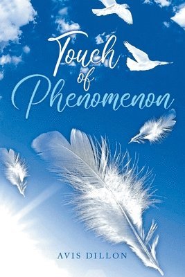 bokomslag Touch of Phenomenon
