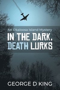 bokomslag An Okaloosa Island Mystery