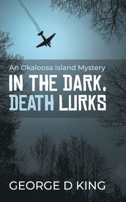 bokomslag An Okaloosa Island Mystery