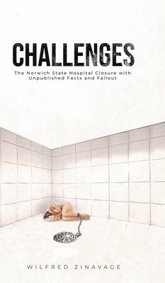 bokomslag Challenges