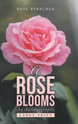 A Rose Blooms 1