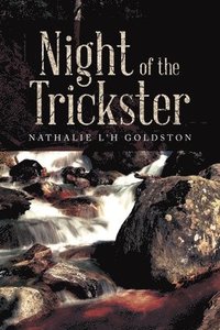 bokomslag Night of the Trickster