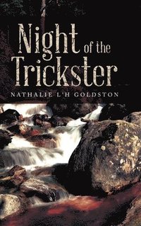 bokomslag Night of the Trickster