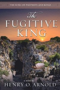 bokomslag The Fugitive King