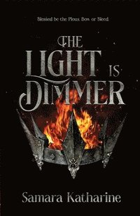 bokomslag The Light is Dimmer