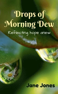 Drops of Morning Dew 1