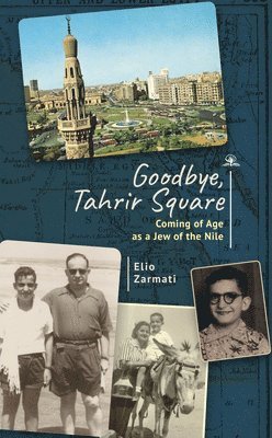 bokomslag Goodbye, Tahrir Square