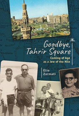 bokomslag Goodbye, Tahrir Square