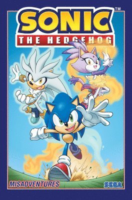 bokomslag Sonic the Hedgehog, Vol. 16: Misadventures