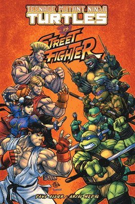 Teenage Mutant Ninja Turtles Vs. Street Fighter 1