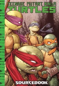 bokomslag Teenage Mutant Ninja Turtles: IDW Sourcebook