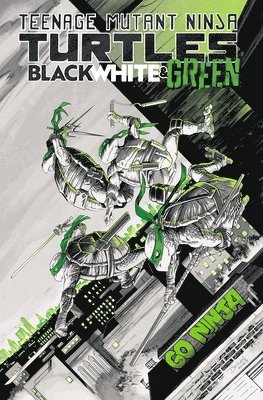 Teenage Mutant Ninja Turtles: Black, White, and Green 1