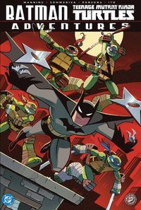 bokomslag Batman/Teenage Mutant Ninja Turtles Adventures