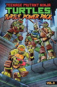bokomslag Teenage Mutant Ninja Turtles: Turtle Power Pack, Vol. 3