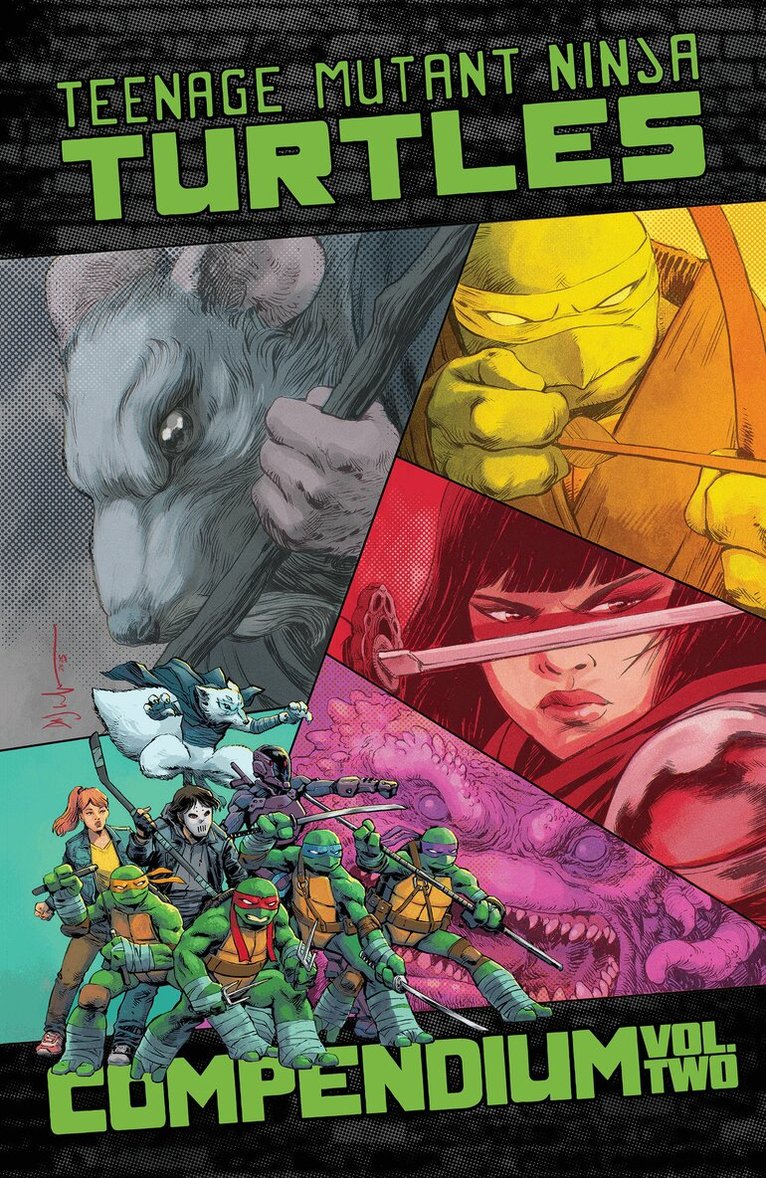 Teenage Mutant Ninja Turtles: Ongoing Compendium, Vol. 2
