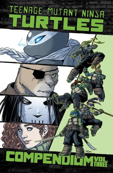 Sophie Campbell, Jodi Nishijima - Teenage Mutant Ninja Turtles: Ongoing Compendium, Vol. 3, Häftad