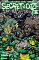 Teenage Mutant Ninja Turtles: Secret of the Ooze--35th Anniversary