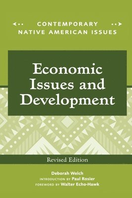 bokomslag Economic Issues and Development