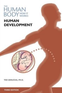 bokomslag Human Development, Third Edition