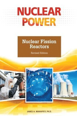 bokomslag Nuclear Fission Reactors