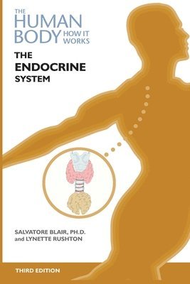 bokomslag The Endocrine System, Third Edition (Ls Edition)
