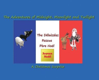 bokomslag The Délaissées Rescue Père Noël: The Adventures of Midnight, Moonlight and Twilight