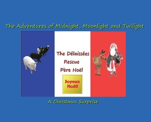 George Shannon - The Délaissées Rescue Père Noël: The Adventures of Midnight, Moonlight and Twilight, Inbunden