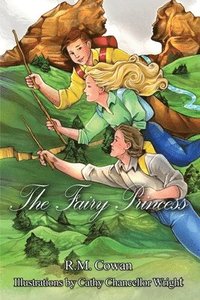 bokomslag The Fairy Princess