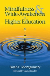 bokomslag Mindfulness & Wide-Awakeness in Higher Education