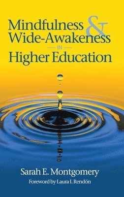 bokomslag Mindfulness & Wide-Awakeness in Higher Education