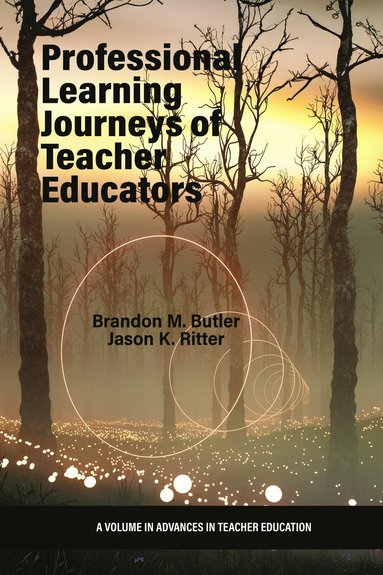 bokomslag Professional Learning Journeys of Teacher Educators