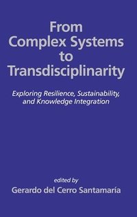 bokomslag From Complex Systems to Transdisciplinarity