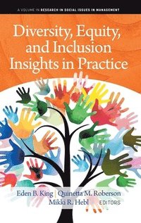 bokomslag Diversity, Equity, and Inclusion Insights in Practice
