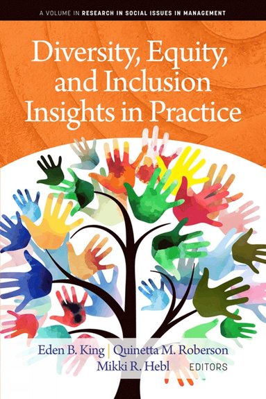 bokomslag Diversity, Equity, and Inclusion Insights in Practice