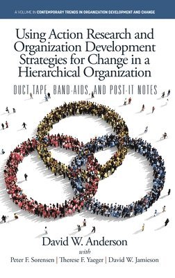 David W. Anderson - Using Action Research and Organization Development Strategies for Change in a Hierarchical Organization, Inbunden