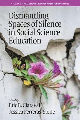 Dismantling Spaces of Silence in Social Science Education