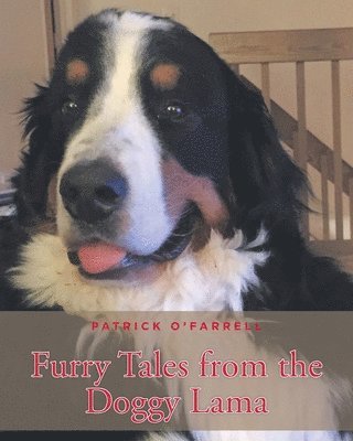 Furry Tales from the Doggy Lama 1