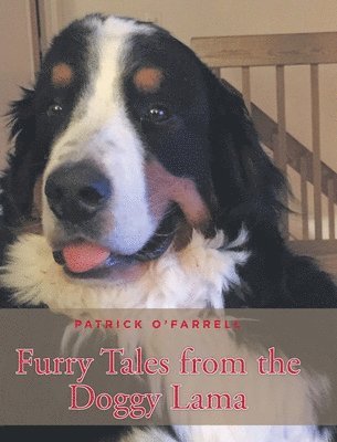 Furry Tales from the Doggy Lama 1