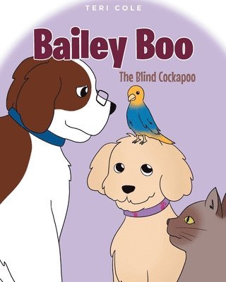 Bailey Boo 1