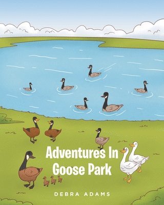 Adventures In Goose Park 1