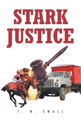 bokomslag Stark Justice