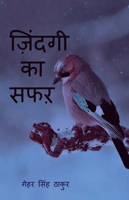 bokomslag Zindagi Ka Safar / &#2332;&#2364;&#2367;&#2306;&#2342;&#2327;&#2368; &#2325;&#2366; &#2360;&#2347;&#2352;