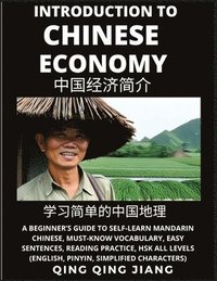 bokomslag Introduction to Chinese Economy - A Beginner's Guide to Self-Learn Mandarin Chinese, Geography, Must-Know Vocabulary, Easy Sentences, Reading Practice, HSK All Levels, Pinyin, Simplified Characters