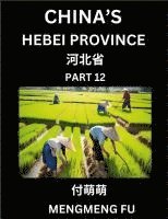 bokomslag China's Hebei Province (Part 12)- Learn Chinese Characters, Words, Phrases with Chinese Names, Surnames and Geography