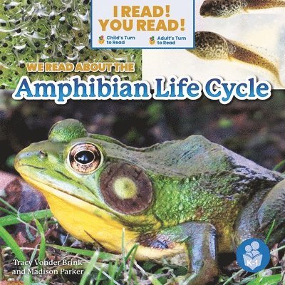 We Read about the Amphibian Life Cycle 1