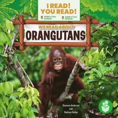 We Read about Orangutans