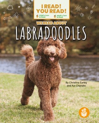 We Read about Labradoodles 1