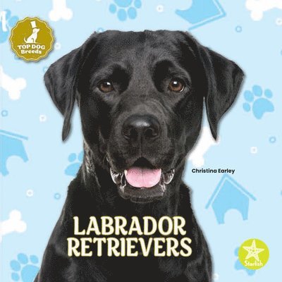 Labrador Retrievers 1