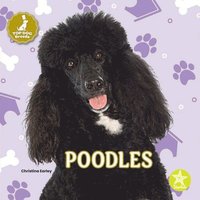 bokomslag Poodles
