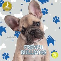 bokomslag French Bulldogs